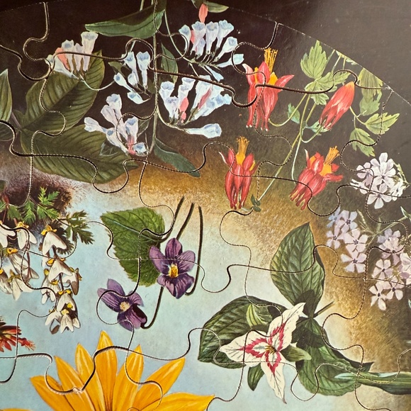 Vintage 1966 Springbok Puzzle Wild Flowers Approx. 60 Lg Pieces By Maynard Reece - Picture 5 of 15